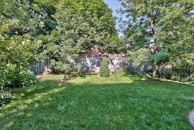 Backyard.