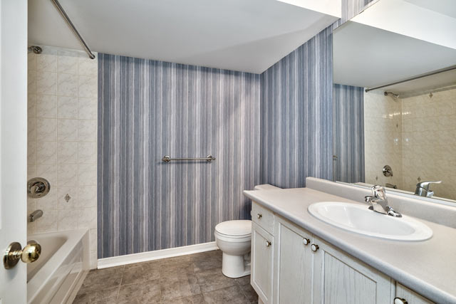 Lower Level Bathroom