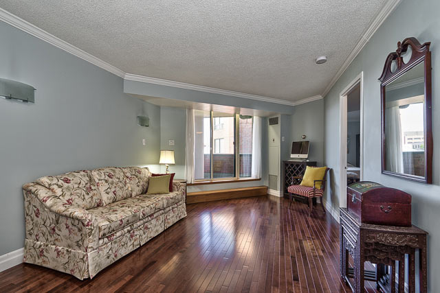 Living Room Area