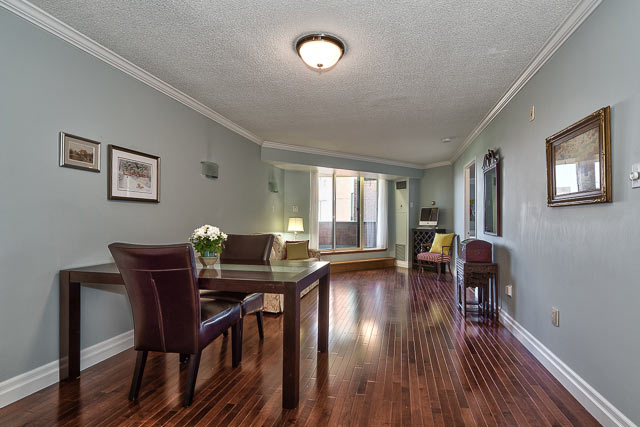 Dining and Living Room Area