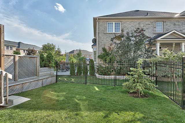 Backyard area.