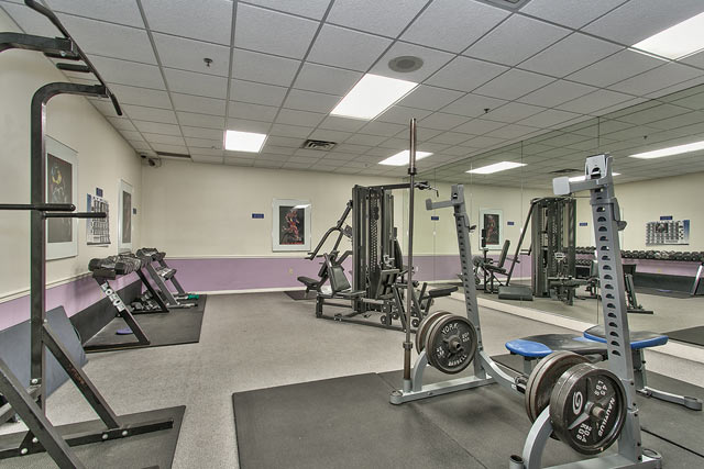 Gym - Weights
