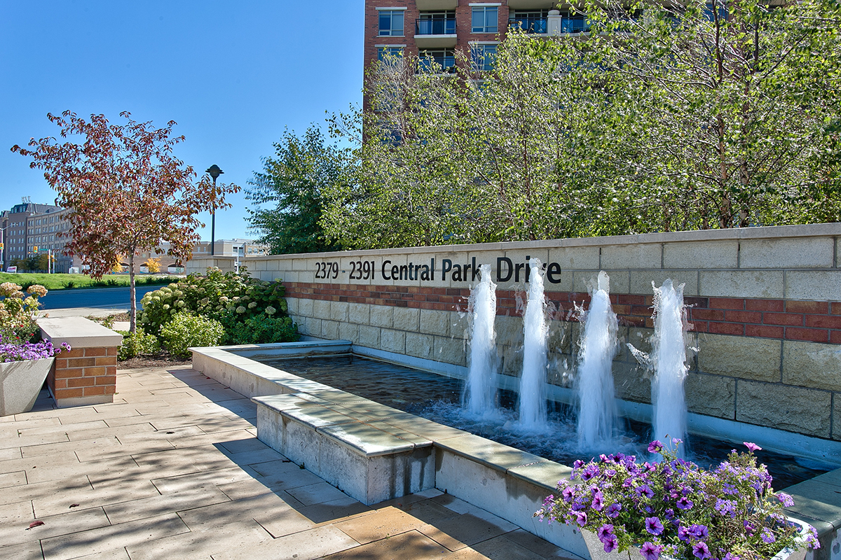Water Feature