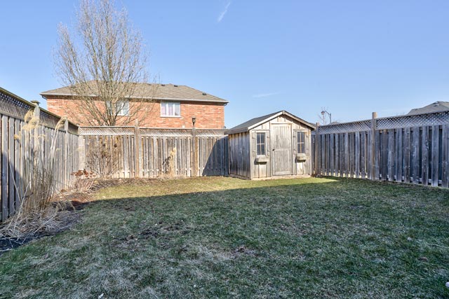 Backyard and Shed