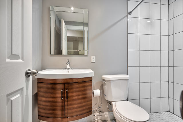 Lower Level Bathroom