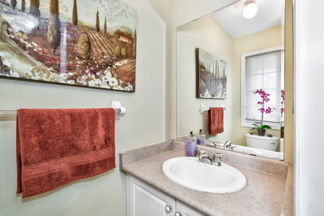 Main Floor Powder Room